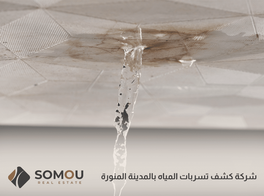 شركة كشف تسربات المياه بالمدينة المنورة
