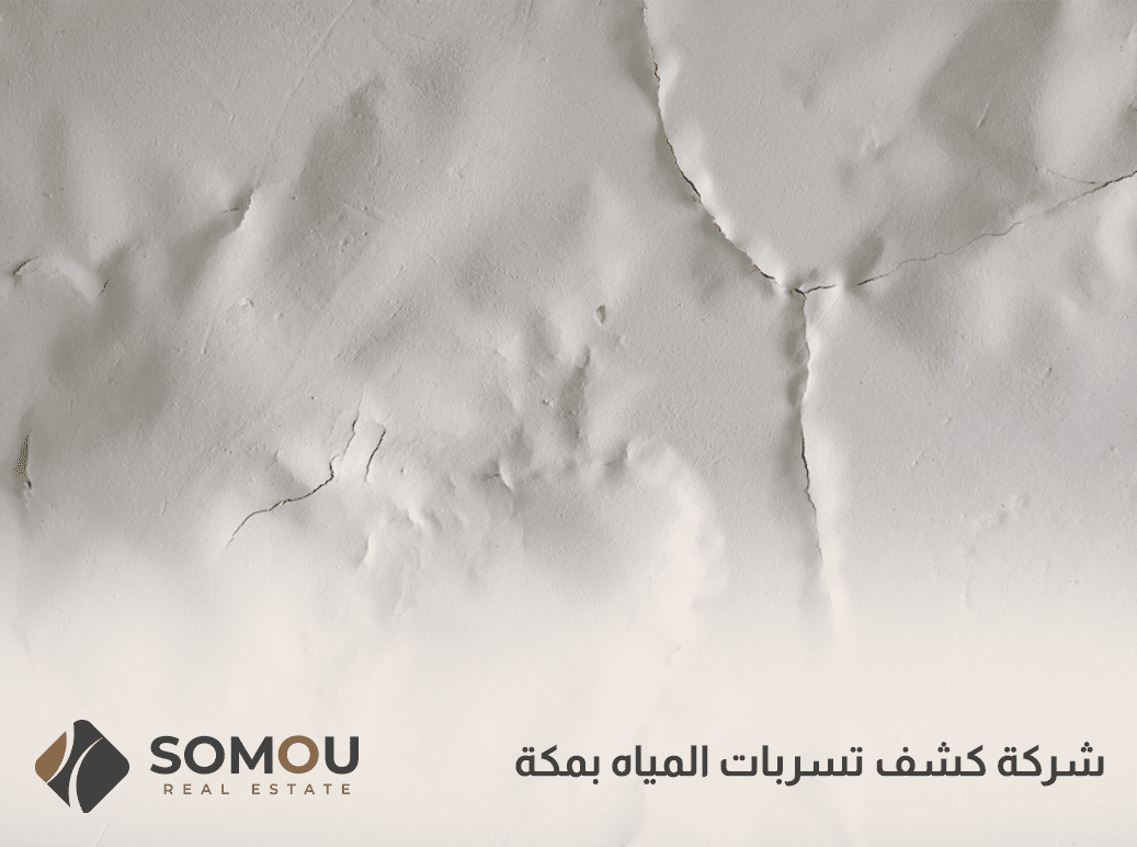شركة كشف تسربات المياه بمكة