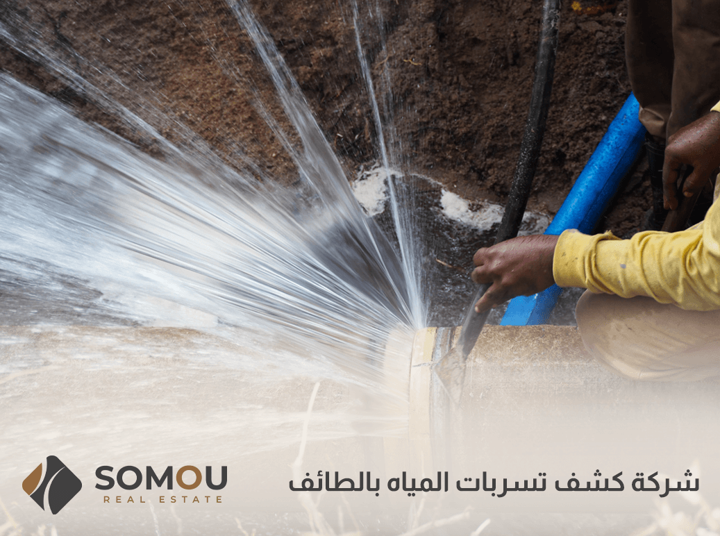 شركة كشف تسربات المياه بالطائف