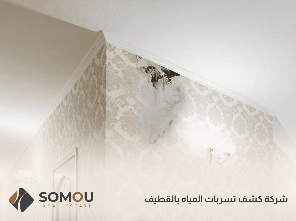 شركة كشف تسربات المياه بالقطيف