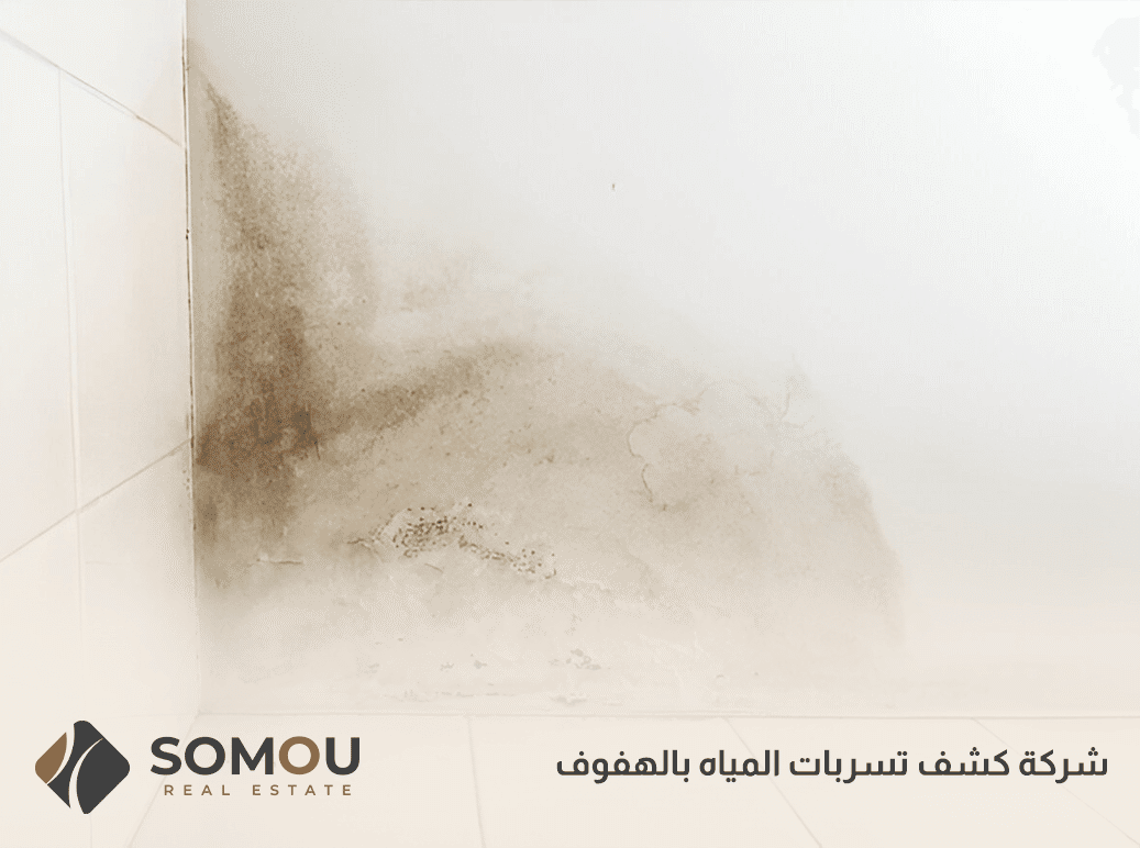 شركة كشف تسربات المياه بالهفوف
