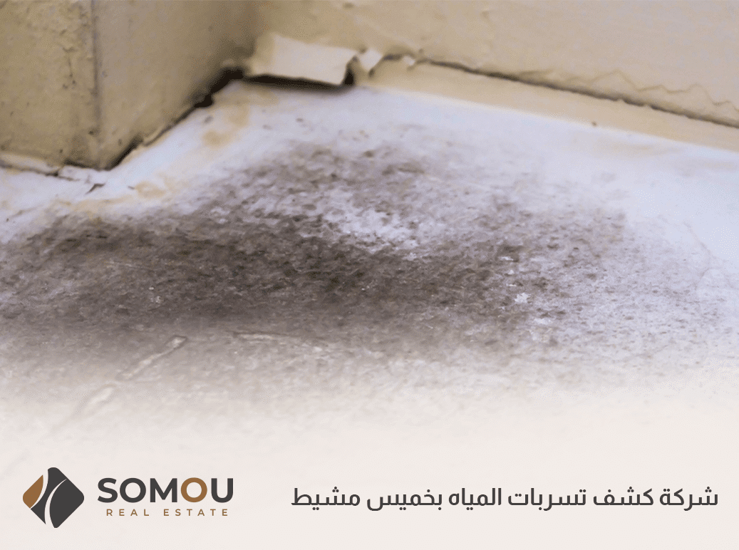 شركة كشف تسربات المياه بخميس مشيط