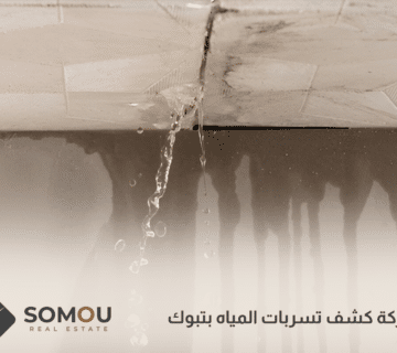 شركة كشف تسربات المياه بتبوك
