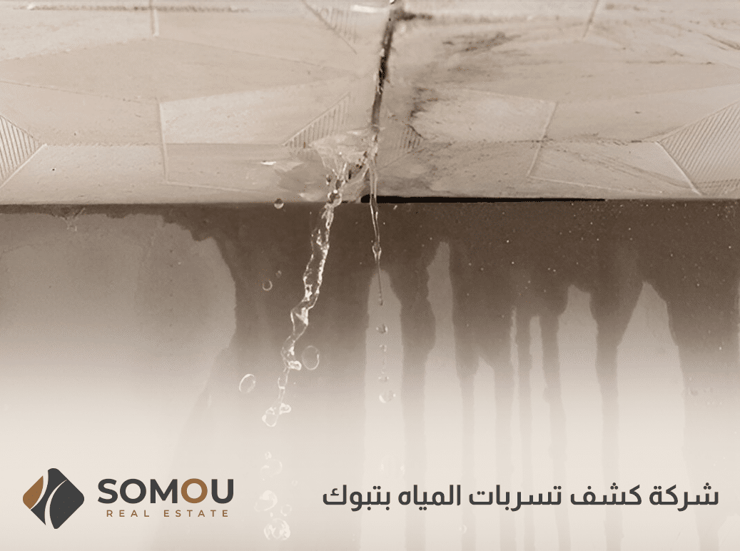 شركة كشف تسربات المياه بتبوك