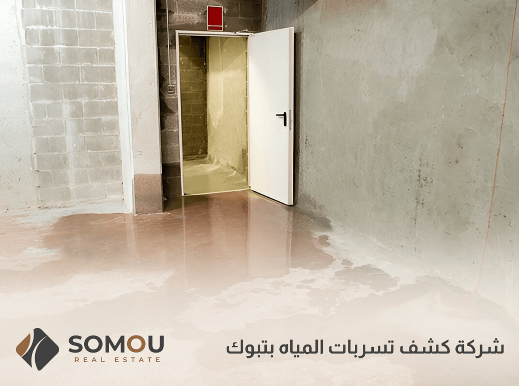 شركة كشف تسربات المياه بتبوك