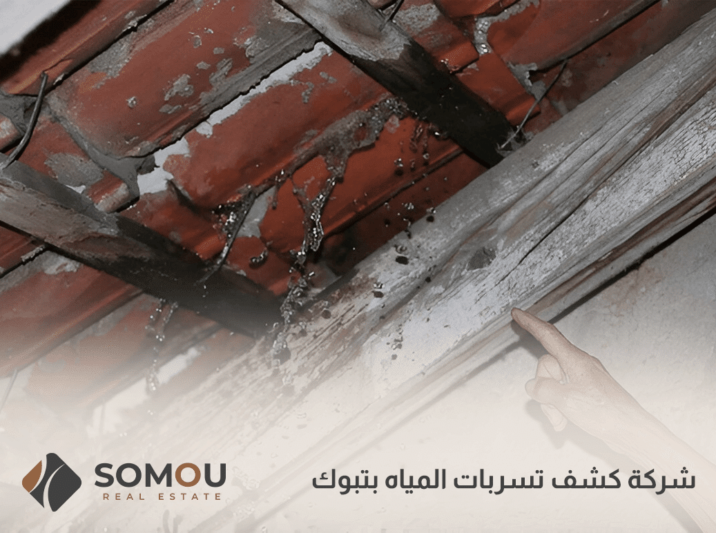 شركة كشف تسربات المياه بتبوك